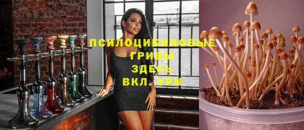 кокс Баксан