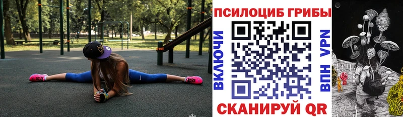 купить наркотик  Сосновка  Псилоцибиновые грибы Psilocybe 